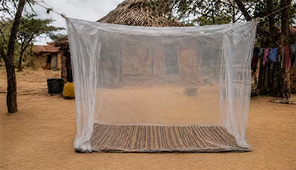 Rectangular mosquito net